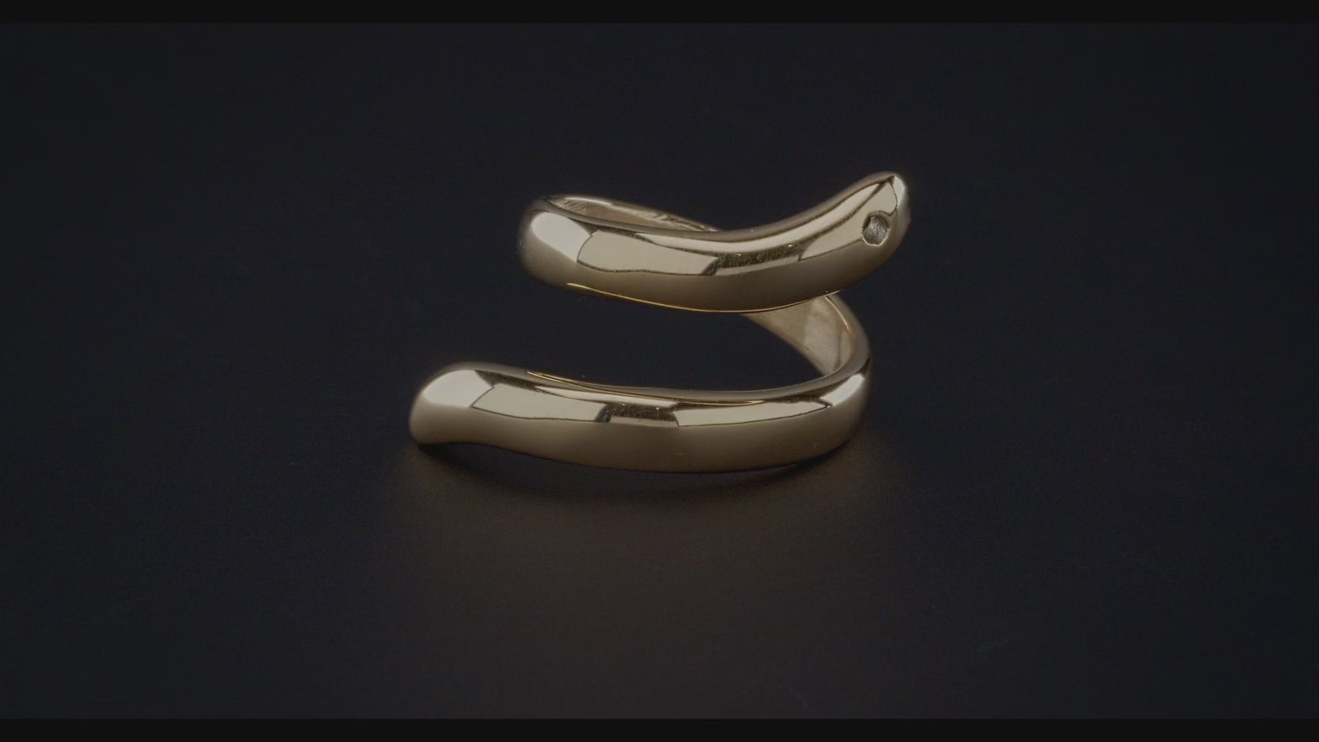 SNAKE GOLD